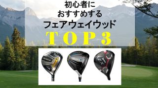 初心者FWおすすめ12-2-320x180.jpg